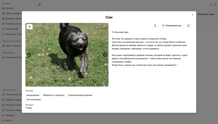 ��������� ���������� � ������� � ������������ �������� ������ �� ���������� + ��� � ������� ��������������