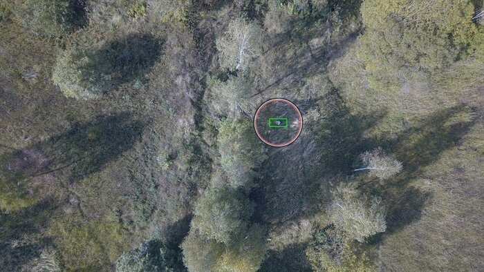 ������� � ����-����� ������ �����