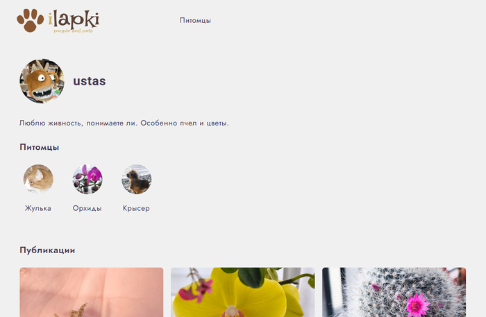 Профиль. Да, еще мало полезного, но потихоньку все добавим! И лайки и посты, и ссылки на ваш сайт - но имя для себя лучше застолбить уже сейчас. Разберут ведь)