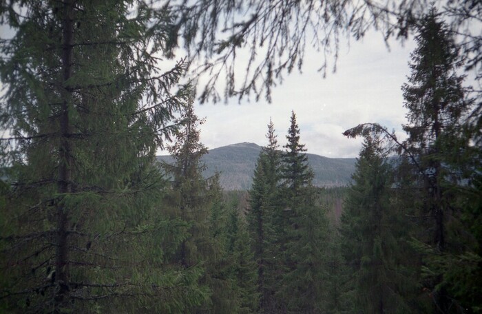 �� ����� ����� ���� ������ ���. ����� �������, �������, ��� �������� ����, �� �������� - ����� ���� � ����� ���������. ������� ��� ��, �� ��� ��� �������� �� ������, ��� � ����� �� ����� ��� ������. � ��� ���� - ��� �� ����-�������� )))