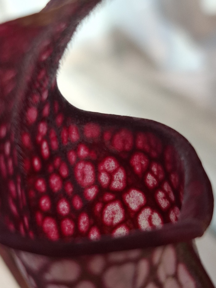 �������� ������