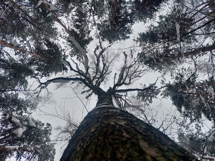 � � ���� �������� :)