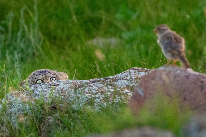 ���� ����!