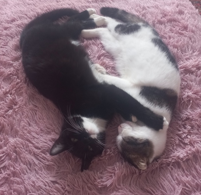 ��������� ��������� ��� � �����