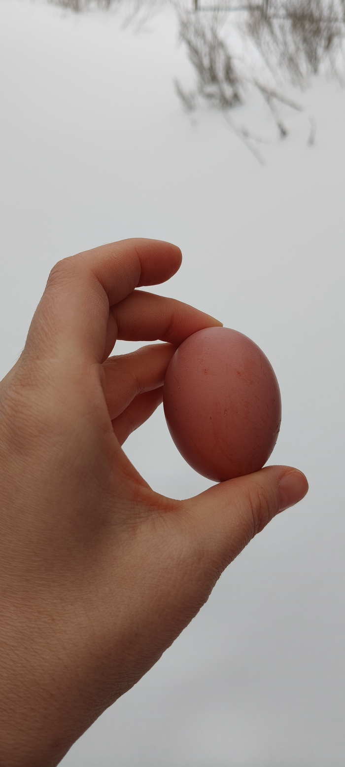 Свое. Ну, то есть куриное