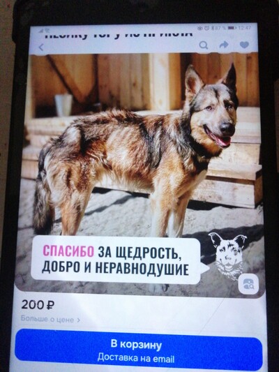 Иллюстрация к комментарию