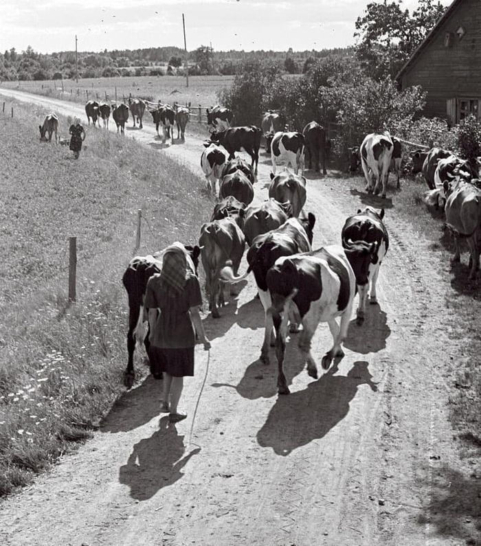 ��������� �������....� ������ ���� ���� ������ ������� ����� ����� �������� �� ��������. ���� ���� �� ��� �������... �������?!