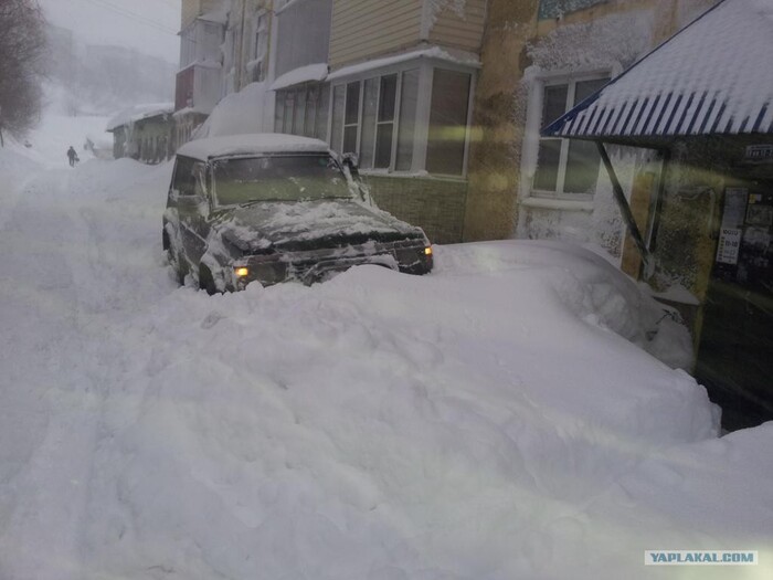 ������, ��������, �����������... ���� �� ����� ���� �����