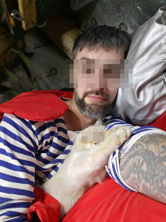 Котики на передовой