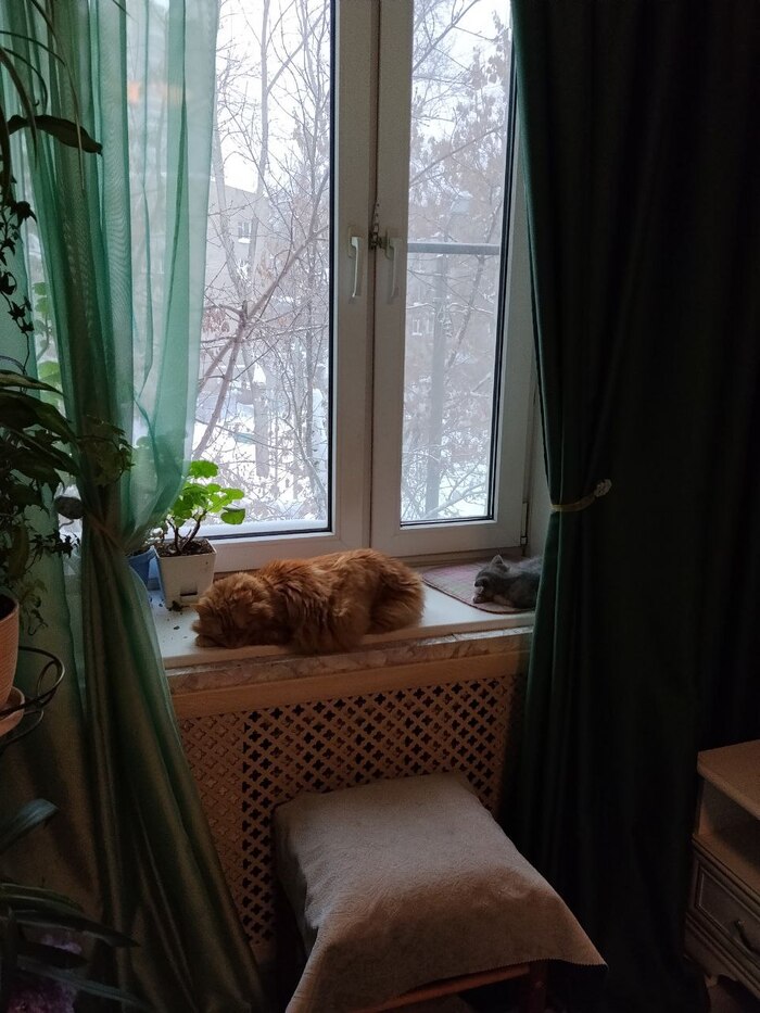 ������ �� �� �� ������, ��� �� ����� ������.