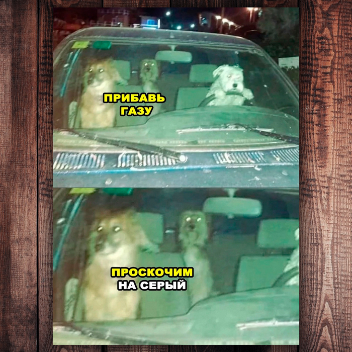 �������� ����� =) (���� � ��������� ���������)