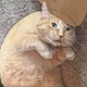 ������ ������������ user11293541