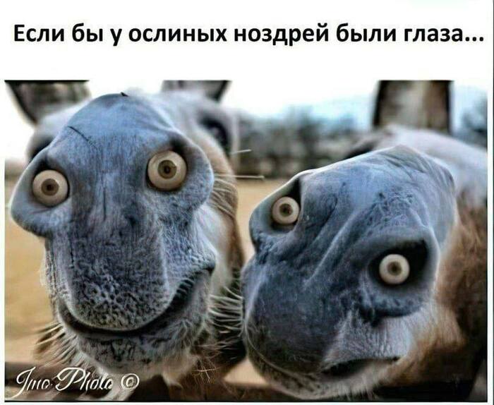 ��� ����...