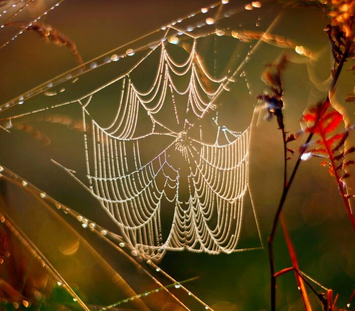 ��������� �������