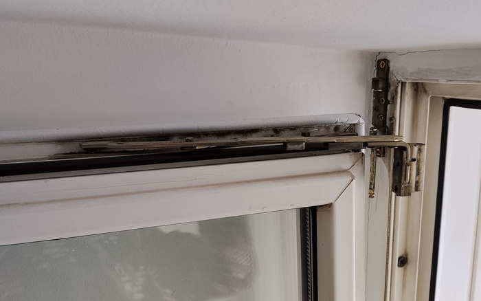 ������ ���