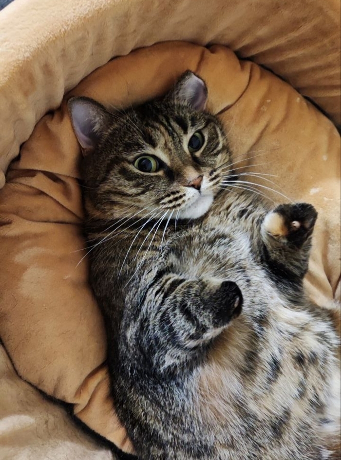 �� ��� �� ������� �������