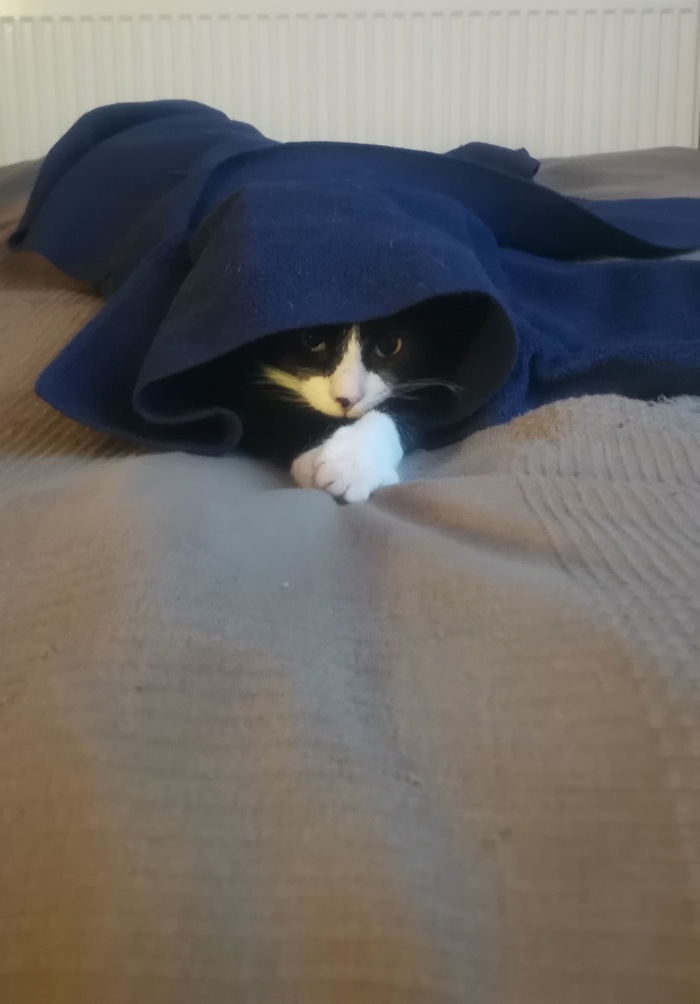 ��� ������� ��� ������ �� ������, ���� �������