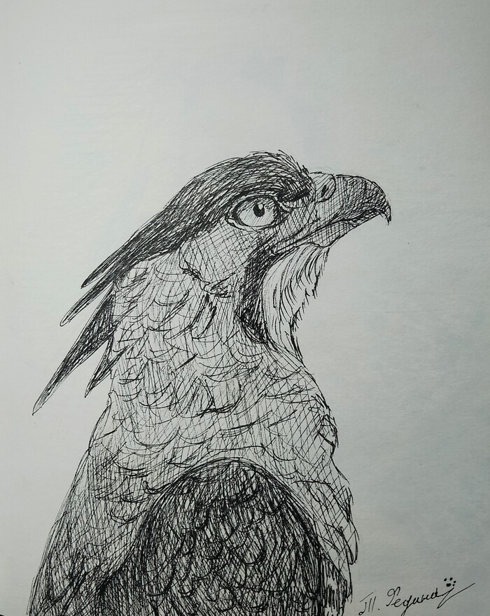 �������� �������� ���