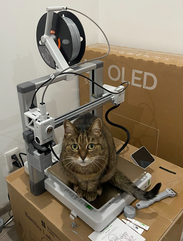 ��������� ��������� ��� ������, ������� � ����������