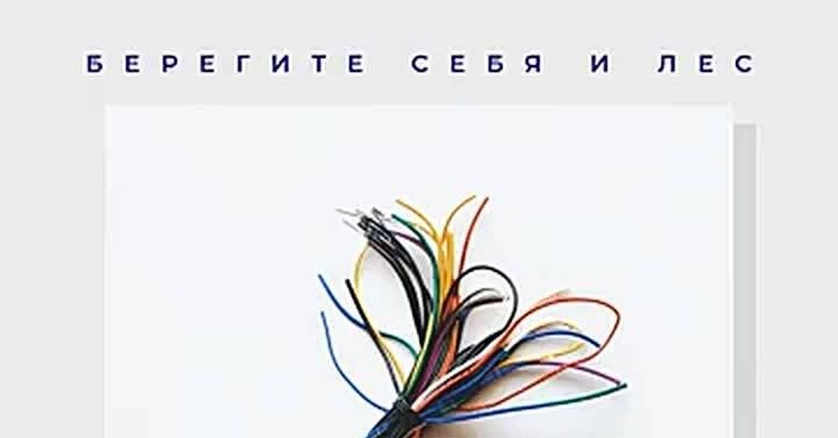 Take Care of Yourself and the Forest - Salute, Vera (Valery Meladze cover) - Series New Cover 2, Cover, Music, Rock cover, Valeriy Meladze, Video, Video VK, Youtube, Longpost, Salute Vera, Take Care of Yourself and the Forest