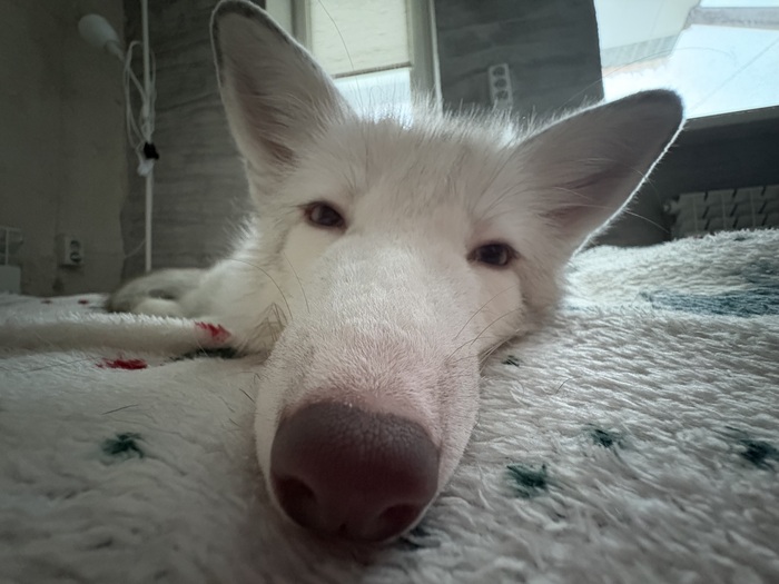 �������, � ����� ���� �� ����� ������� ����� ����� ��� ������ ���������🤣