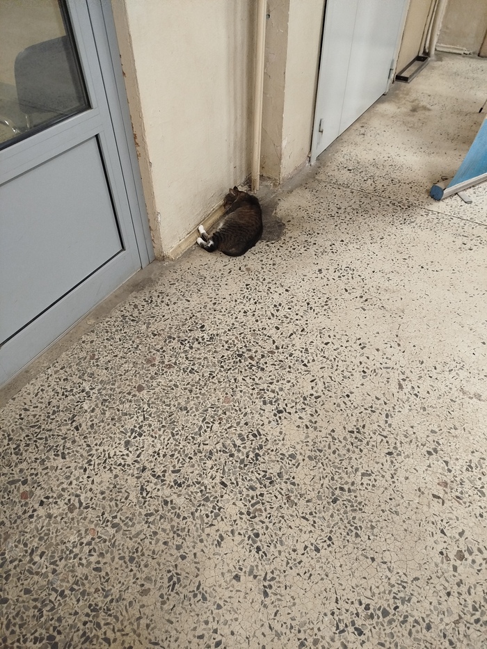 ����� �������� ��������� �� ������! �������� �� ���.