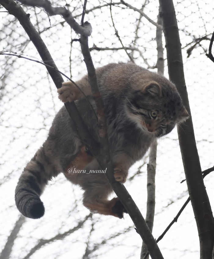 Продолжение поста «Можно я так же от работы спрячусь?»