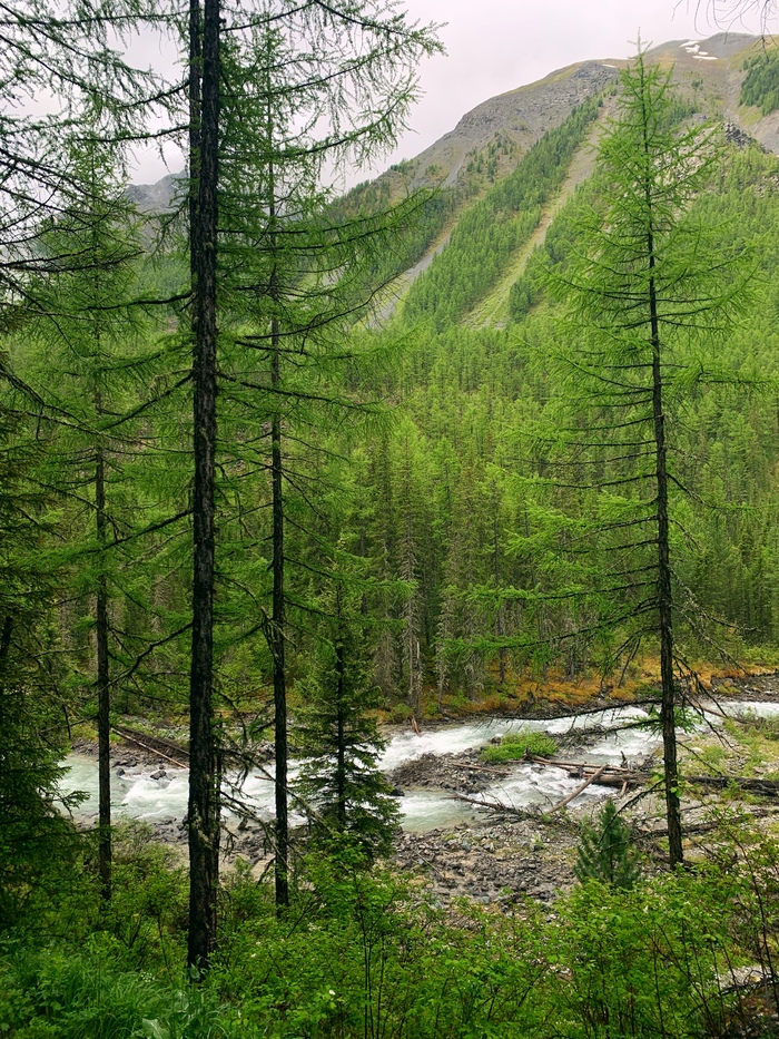 �������� ��������� �� ���� � ��� ��, ���� �� ������ � ��� ������))