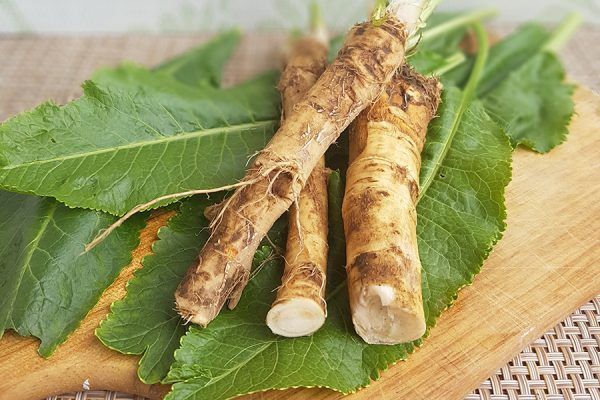 ������ ����� � ������ �����. ���� � ����� kuban24.