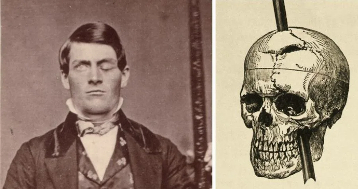 ������ �����