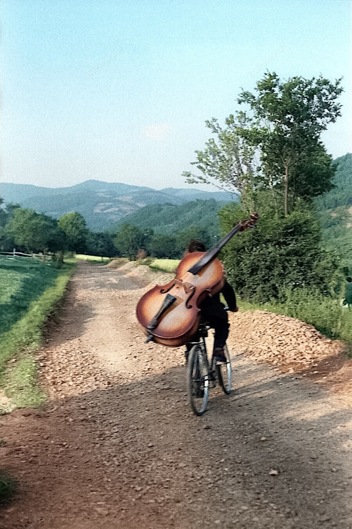 ��������: ���� ������-�������