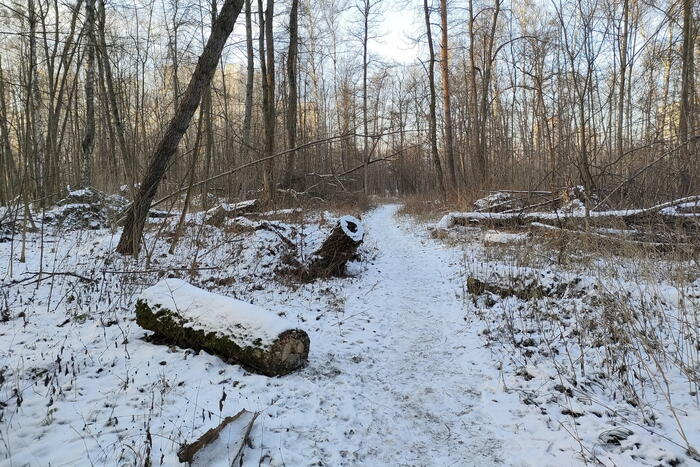 "�������" � ������������ ����� "������� ������"