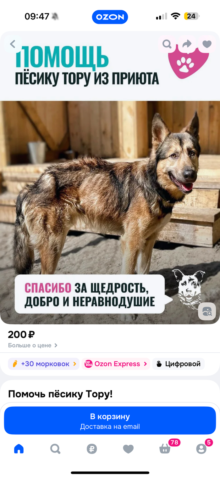 ������ � �� ���� ����� 