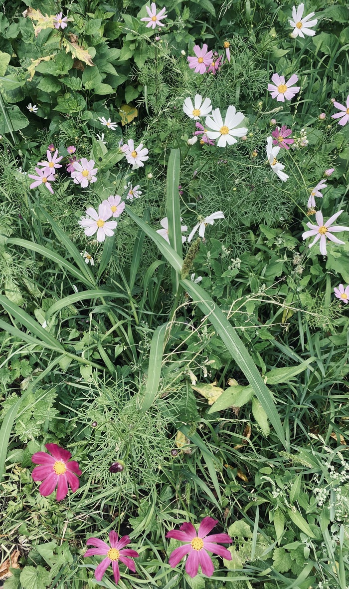 ���������� � ������� �� ��������, � �������� � ���� ����� ����, ������ ���� �����🙃