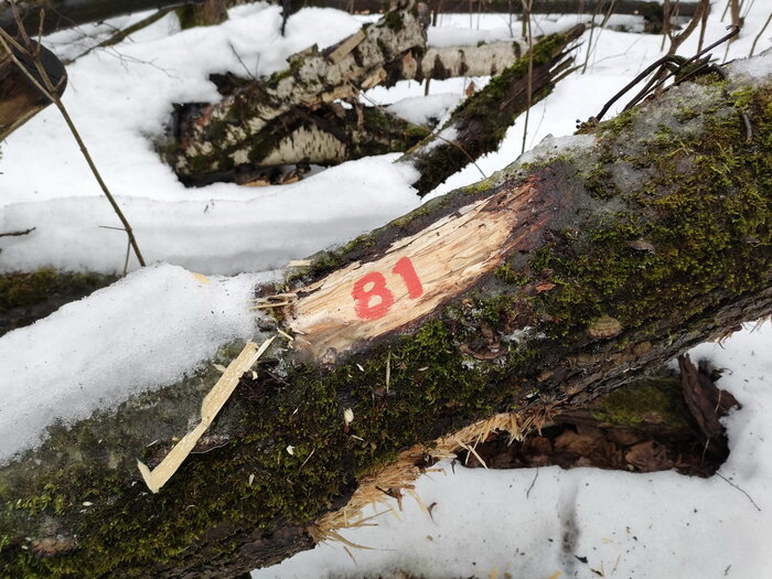 ���� � �������� - ������ ������� ����� ������������