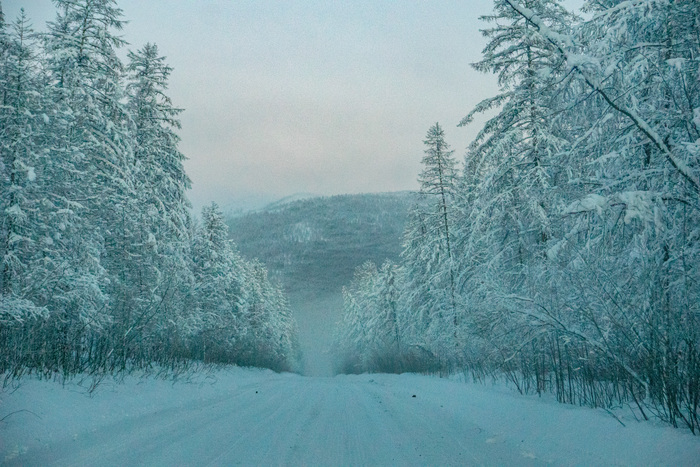 ����� � �������