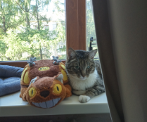 ��������� � ���� (�������������� ����)