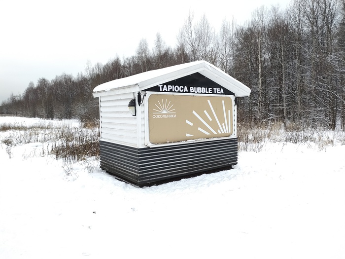 ���� � ������� �������, ������ 2024 �.