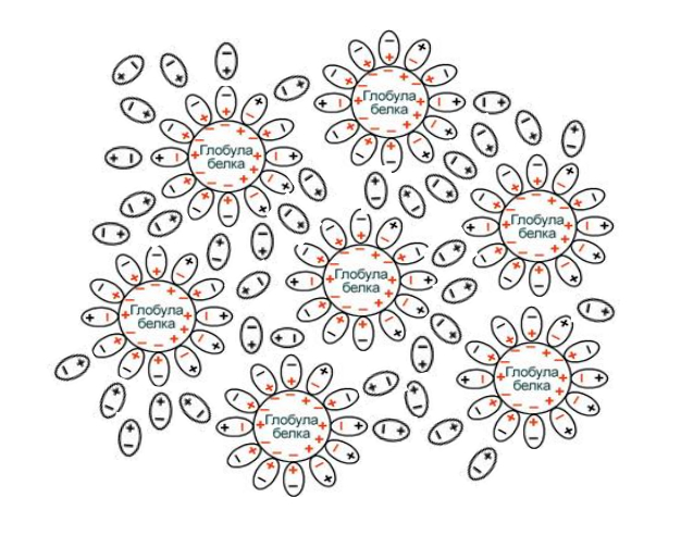 Что такое молоко? (Часть 3)