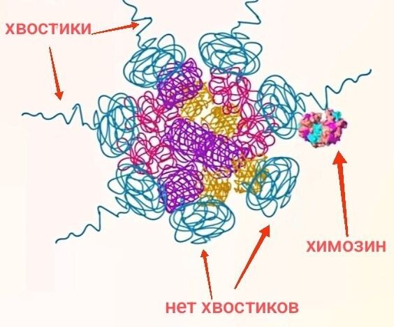 Что такое молоко? (Часть 3)