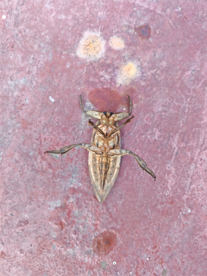 � ����� ����� 7 �����������.