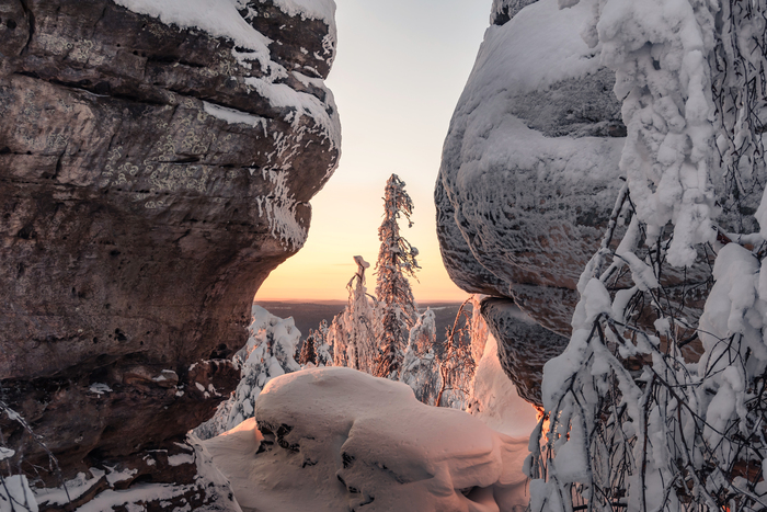 �������� �����