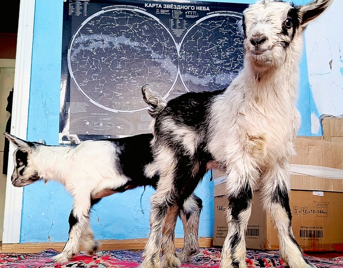 ������ ������ � ���� ����