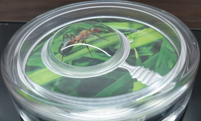 ���� ���� �� ������,�������� �� �������