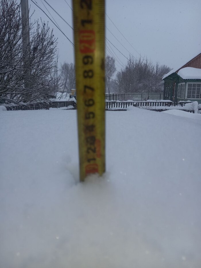 �� ������ 10 �� �����.