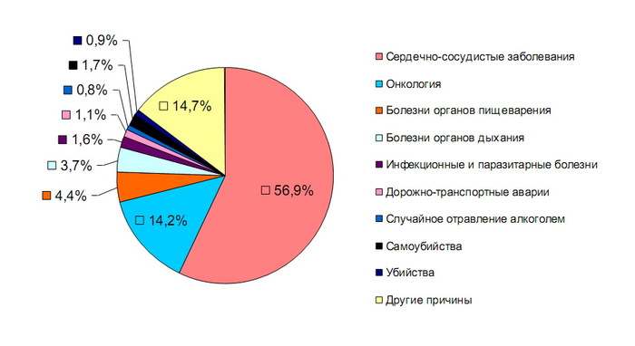 �������� ������� ����������. ������� - ��� ��������-���������� �����������