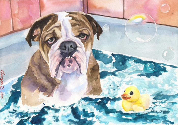 Просто английский бульдог пытается принять ванну) надеюсь эта акварель вызовет у вас улыбку