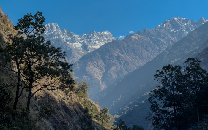 ������� ������� ��� ������