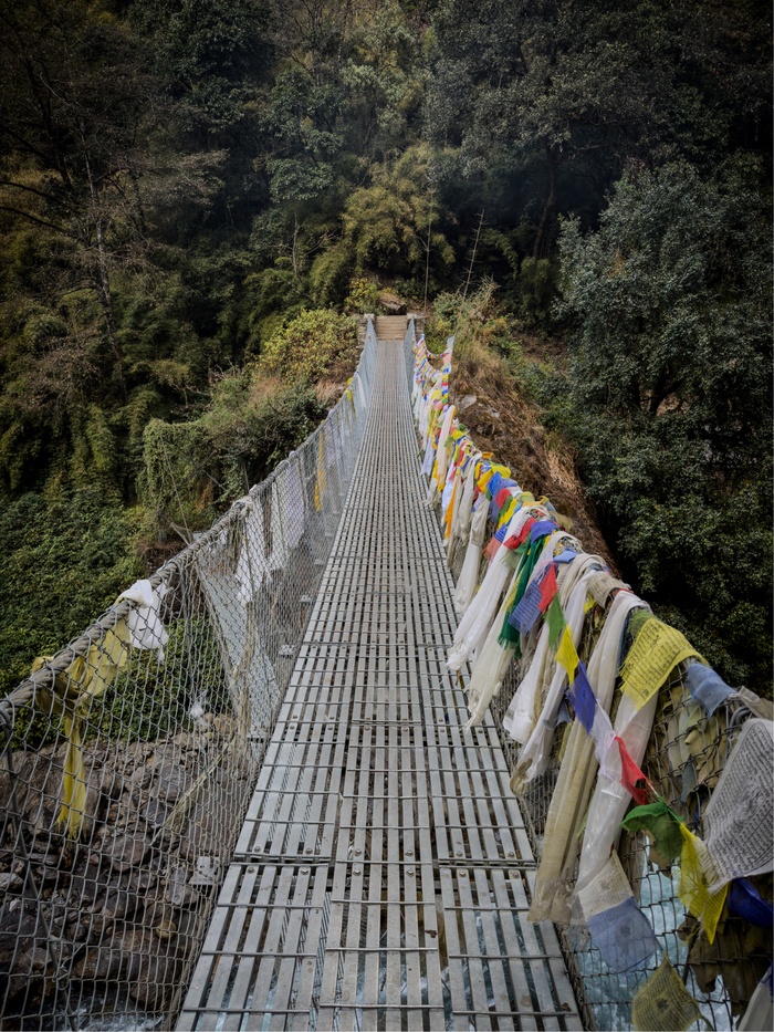 ������������ ��������� ����