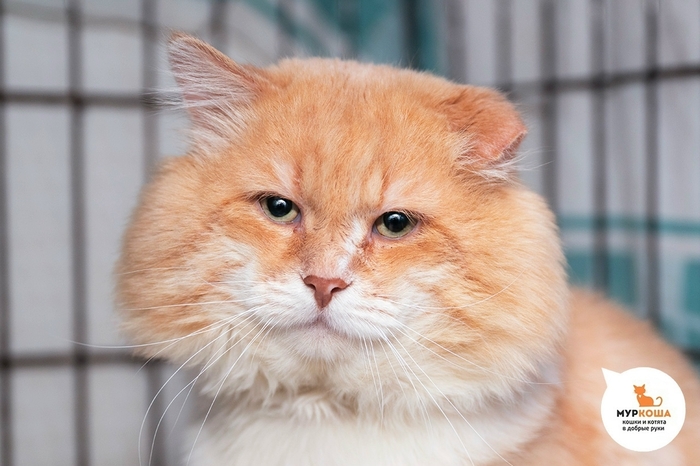 ��� �����, 7 ���, ������ �� �����. ��������������� ���, ���. �������������� ������������ ������� ��� � ����� � �������-���������� ���, ���. �������� ��������, ��� ��� � ��� �� ������ ��� �������� � �������� ������ ����� � �� ���������� ��.